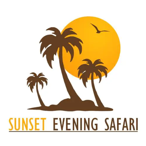 Sunset Evening Safari